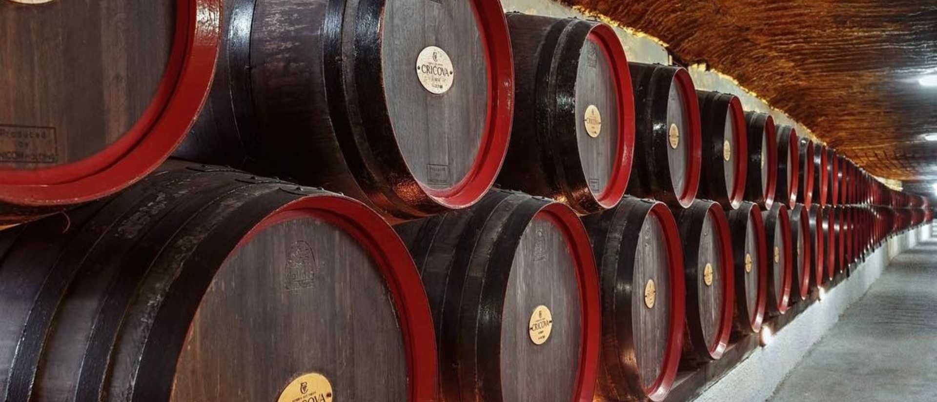 Cricova Winery Tour